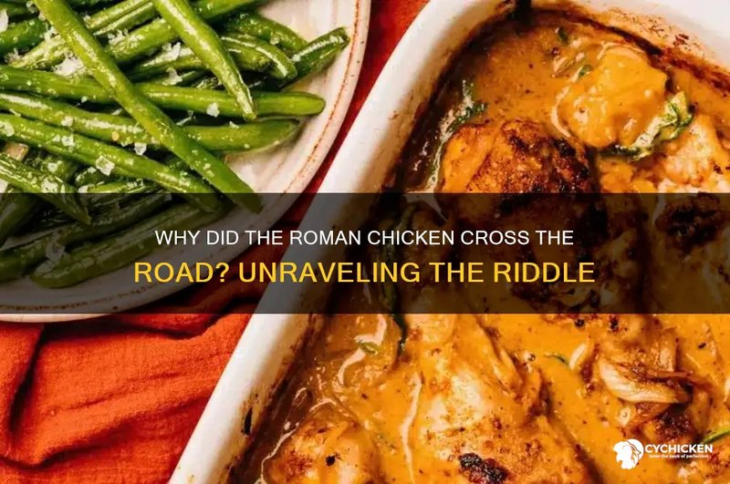 O privire asupra chicken road casino