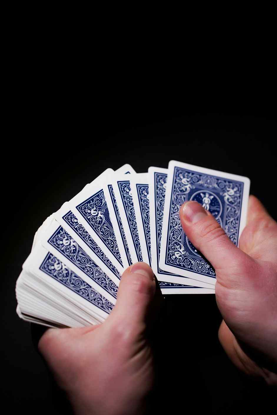 Alexandercasino
